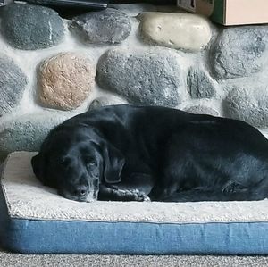 Meet your Posher, Deb